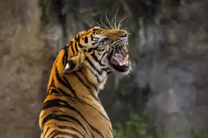 Zookoutek Malá Chuchle