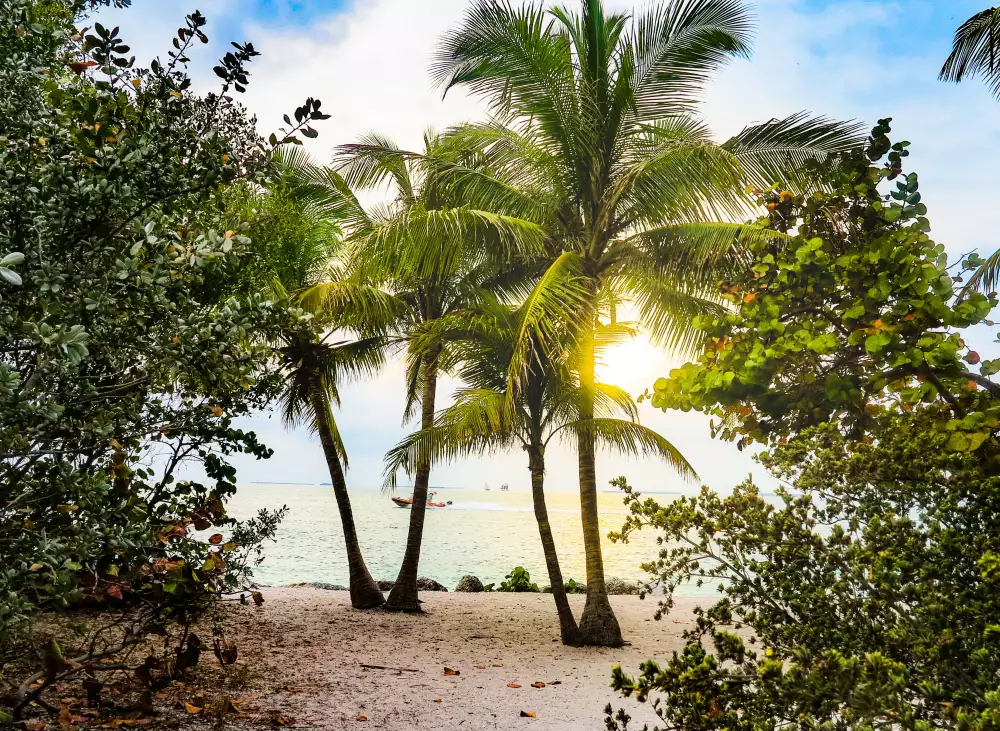 Florida