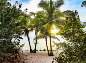 Florida